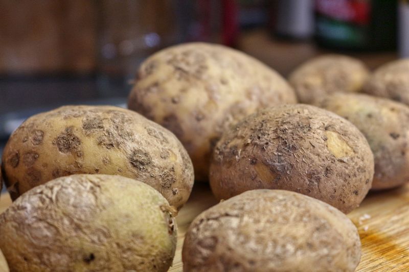 Erteple je sudetský název pro obyčejné brambory. Autor: Sina W. zdroj: Pixabay
