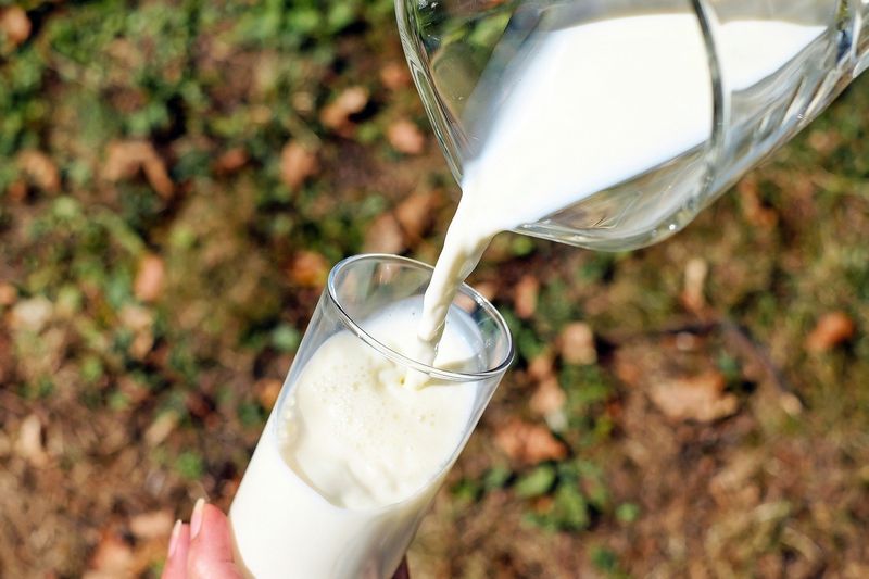 V mléku se nachází disacharid laktóza. Autor: Couleur, zdroj: Pixabay