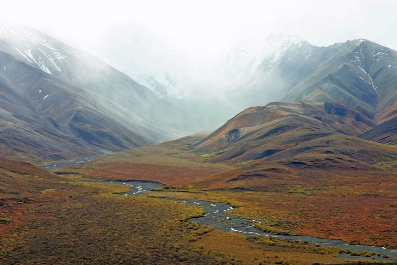 Tundra na Aljašce. Autor: David Mark, zdroj: Pixabay