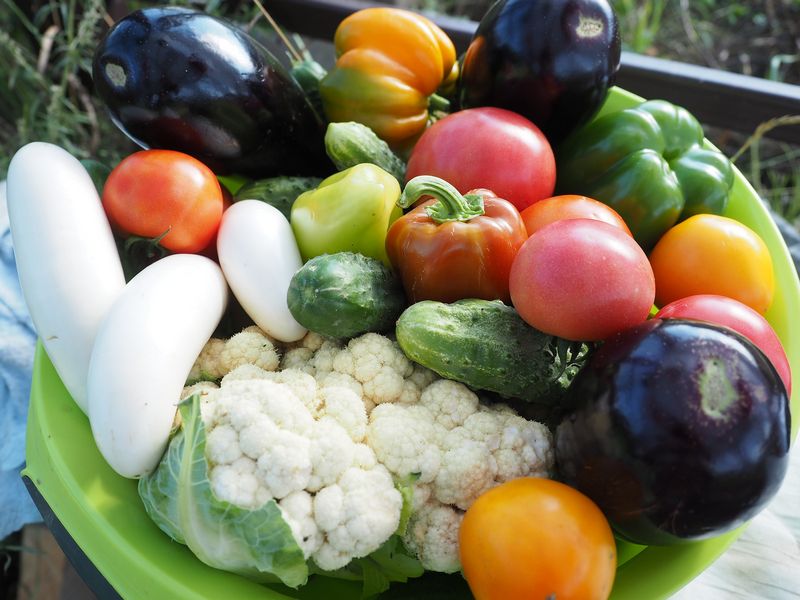 Zelenina je základem vegetariánské stravy. Autor: Наталья Ковалева, zdroj: Pixabay