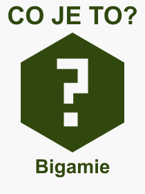 Co je to Bigamie? Vznam slova, termn, Odborn vraz, definice slova Bigamie. Co znamen pojem Bigamie z kategorie Prvo?