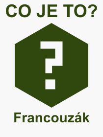 Co je to Francouz�k? V�znam slova, term�n, V�raz, term�n, definice slova Francouz�k. Co znamen� odborn� pojem Francouz�k z kategorie R�zn�?