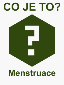 Co je to Menstruace? Význam slova, termín, Výraz, termín, definice slova Menstruace. Co znamená odborný pojem Menstruace z kategorie Lékařství?
