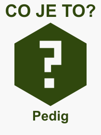 Co je to Pedig? Vznam slova, termn, Odborn vraz, definice slova Pedig. Co znamen slovo Pedig z kategorie Materily?