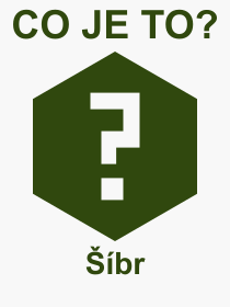 Co je to Šíbr? Význam slova, termín, Výraz, termín, definice slova Šíbr. Co znamená odborný pojem Šíbr z kategorie Technika?