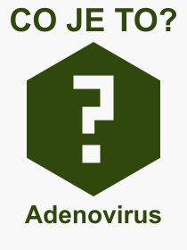 Co je to Adenovirus? Význam slova, termín, Výraz, termín, definice slova Adenovirus. Co znamená odborný pojem Adenovirus z kategorie Nemoce?