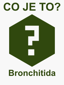 Co je to Bronchitida? Vznam slova, termn, Definice vrazu Bronchitida. Co znamen odborn pojem Bronchitida z kategorie Nemoce?