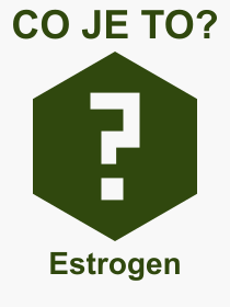 Pojem, výraz, heslo, co je to Estrogen? 
