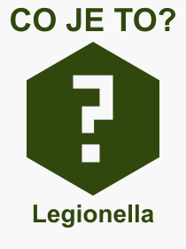 Co je to Legionella? Vznam slova, termn, Odborn termn, vraz, slovo Legionella. Co znamen pojem Legionella z kategorie Nemoce?