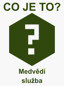 Co je to Medv�d� slu�ba? V�znam slova, term�n, Odborn� v�raz, definice slova Medv�d� slu�ba. Co znamen� pojem Medv�d� slu�ba z kategorie R�zn�?