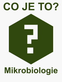 Co je to Mikrobiologie? Význam slova, termín, Výraz, termín, definice slova Mikrobiologie. Co znamená odborný pojem Mikrobiologie z kategorie Věda?