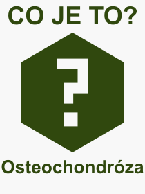 Co je to Osteochondrza? Vznam slova, termn, Odborn vraz, definice slova Osteochondrza. Co znamen slovo Osteochondrza z kategorie Nemoce?