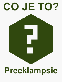 Pojem, výraz, heslo, co je to Preeklampsie? 