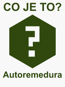 Co je to Autoremedura? Vznam slova, termn, Definice odbornho termnu, slova Autoremedura. Co znamen pojem Autoremedura z kategorie Prvo?