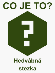 Co je to Hedvbn stezka? Vznam slova, termn, Definice odbornho termnu, slova Hedvbn stezka. Co znamen pojem Hedvbn stezka z kategorie Politika?