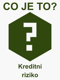 Pojem, v�raz, heslo, co je to Kreditn� riziko? 