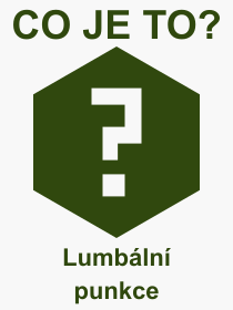 Co je to Lumbální punkce? Význam slova, termín, Výraz, termín, definice slova Lumbální punkce. Co znamená odborný pojem Lumbální punkce z kategorie Lékařství?