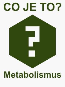 Co je to Metabolismus? Vznam slova, termn, Vraz, termn, definice slova Metabolismus. Co znamen odborn pojem Metabolismus z kategorie Lkastv?