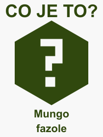 Co je to Mungo fazole? Vznam slova, termn, Definice vrazu Mungo fazole. Co znamen odborn pojem Mungo fazole z kategorie Jdlo?