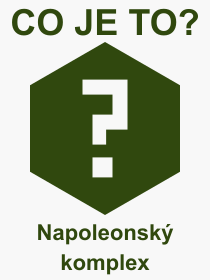 Co je to Napoleonsk komplex? Vznam slova, termn, Vraz, termn, definice slova Napoleonsk komplex. Co znamen odborn pojem Napoleonsk komplex z kategorie Psychologie?