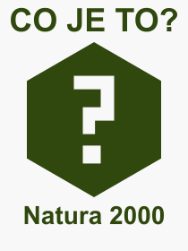 Co je to Natura 2000? Vznam slova, termn, Odborn termn, vraz, slovo Natura 2000. Co znamen pojem Natura 2000 z kategorie Proda?