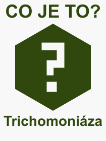 Co je to Trichomoniza? Vznam slova, termn, Definice vrazu Trichomoniza. Co znamen odborn pojem Trichomoniza z kategorie Nemoce?