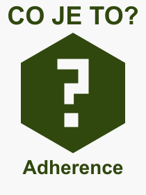 Pojem, výraz, heslo, co je to Adherence? 