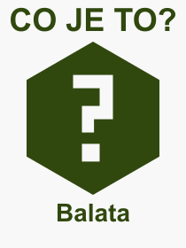 Co je to Balata? Vznam slova, termn, Odborn vraz, definice slova Balata. Co znamen slovo Balata z kategorie Literatura?