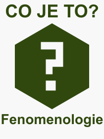 Co je to Fenomenologie? Význam slova, termín, Definice odborného termínu, slova Fenomenologie. Co znamená pojem Fenomenologie z kategorie Filozofie?