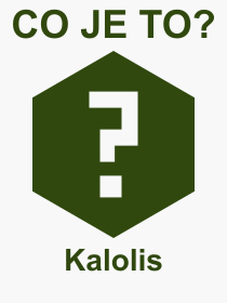 Co je to Kalolis? Vznam slova, termn, Definice vrazu, termnu Kalolis. Co znamen odborn pojem Kalolis z kategorie Technika?