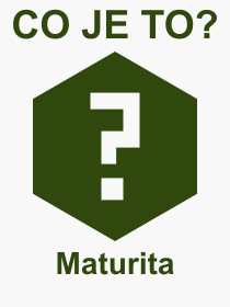 Co je to Maturita? Vznam slova, termn, Vraz, termn, definice slova Maturita. Co znamen odborn pojem Maturita z kategorie kolstv?