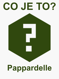 Co je to Pappardelle? Vznam slova, termn, Definice vrazu, termnu Pappardelle. Co znamen odborn pojem Pappardelle z kategorie Jdlo?