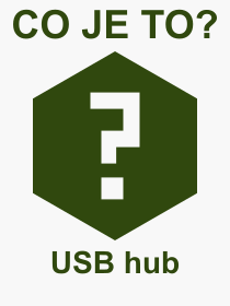 Pojem, vraz, heslo, co je to USB hub? 