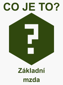 Pojem, vraz, heslo, co je to Zkladn mzda? 