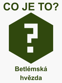 Co je to Betlmsk hvzda? Vznam slova, termn, Odborn vraz, definice slova Betlmsk hvzda. Co znamen slovo Betlmsk hvzda z kategorie Nboenstv?
