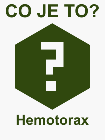 Co je to Hemotorax? Vznam slova, termn, Odborn vraz, definice slova Hemotorax. Co znamen pojem Hemotorax z kategorie Lkastv?