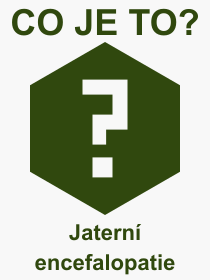 Co je to Jatern encefalopatie? Vznam slova, termn, Vraz, termn, definice slova Jatern encefalopatie. Co znamen odborn pojem Jatern encefalopatie z kategorie Lkastv?