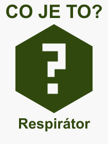 Co je to Respirtor? Vznam slova, termn, Odborn vraz, definice slova Respirtor. Co znamen pojem Respirtor z kategorie Lkastv?