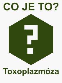 Co je to Toxoplazmza? Vznam slova, termn, Odborn vraz, definice slova Toxoplazmza. Co znamen pojem Toxoplazmza z kategorie Nemoce?