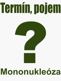 Pojem, vraz, heslo, co je to Mononukleza? 