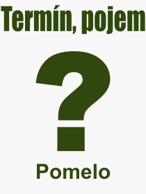 Co je to Pomelo? Význam slova, termín, Definice výrazu Pomelo. Co znamená odborný pojem Pomelo z kategorie Jídlo?