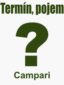 Co je to Campari? Význam slova, termín, Definice odborného termínu, slova Campari. Co znamená pojem Campari z kategorie Nápoje?