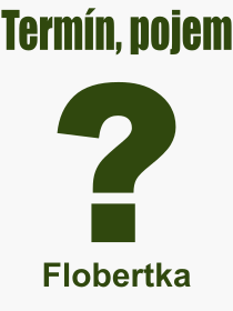 Co je to Flobertka? Význam slova, termín, Odborný výraz, definice slova Flobertka. Co znamená pojem Flobertka z kategorie Technika?