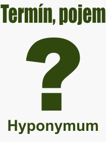 Co je to Hyponymum? Vznam slova, termn, Definice odbornho termnu, slova Hyponymum. Co znamen pojem Hyponymum z kategorie esk jazyk?