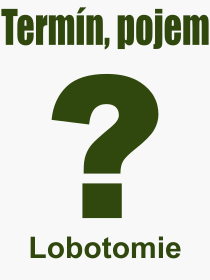 Co je to Lobotomie? Význam slova, termín, Výraz, termín, definice slova Lobotomie. Co znamená odborný pojem Lobotomie z kategorie Lékařství?