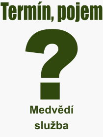 Pojem, v�raz, heslo, co je to Medv�d� slu�ba? 