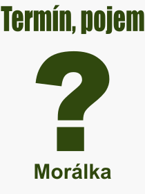 Pojem, v�raz, heslo, co je to Mor�lka? 