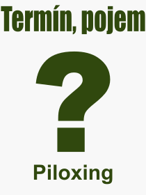 Co je to Piloxing? Vznam slova, termn, Odborn vraz, definice slova Piloxing. Co znamen pojem Piloxing z kategorie Sport?