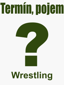 Co je to Wrestling? Význam slova, termín, Definice výrazu, termínu Wrestling. Co znamená odborný pojem Wrestling z kategorie Sport?