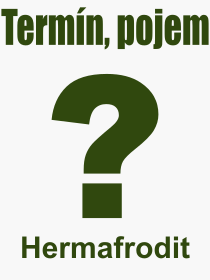 Pojem, vraz, heslo, co je to Hermafrodit? 
